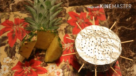 خلطة المتنزه الخاصة