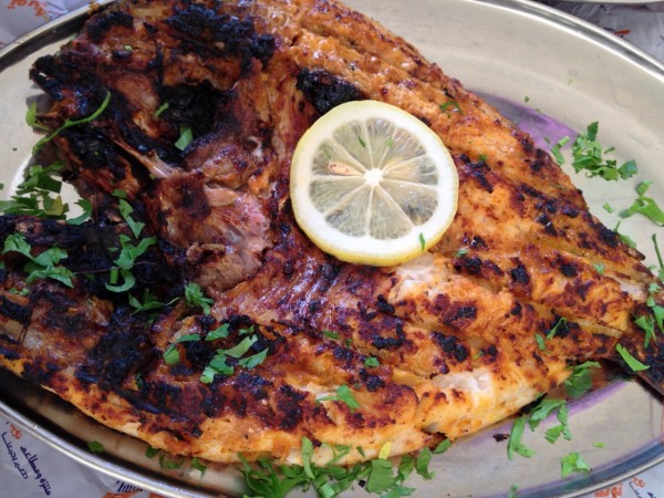 سمكة الكطان ( 1 كيلو )