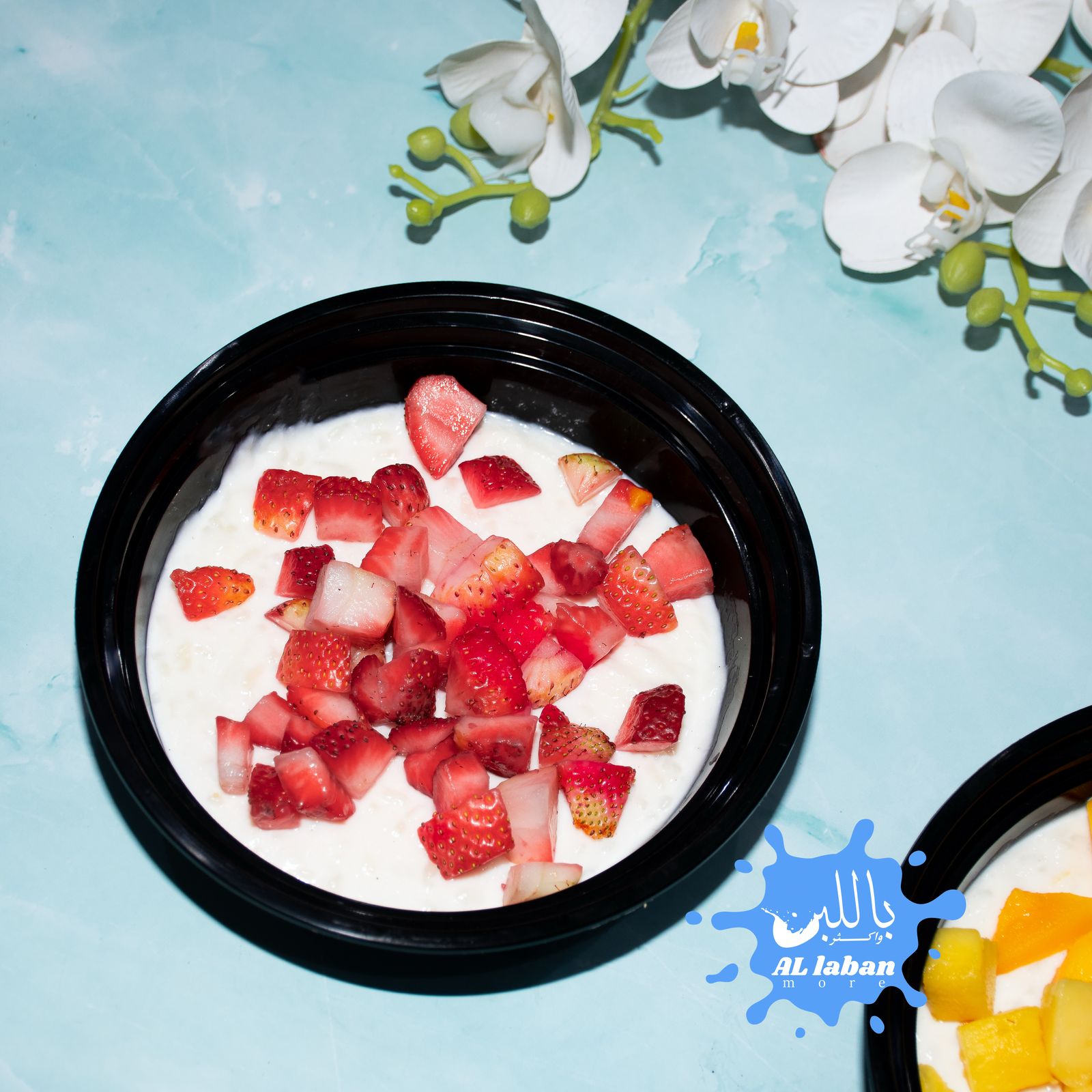 رز بلبن نوتيلا بيضاء 