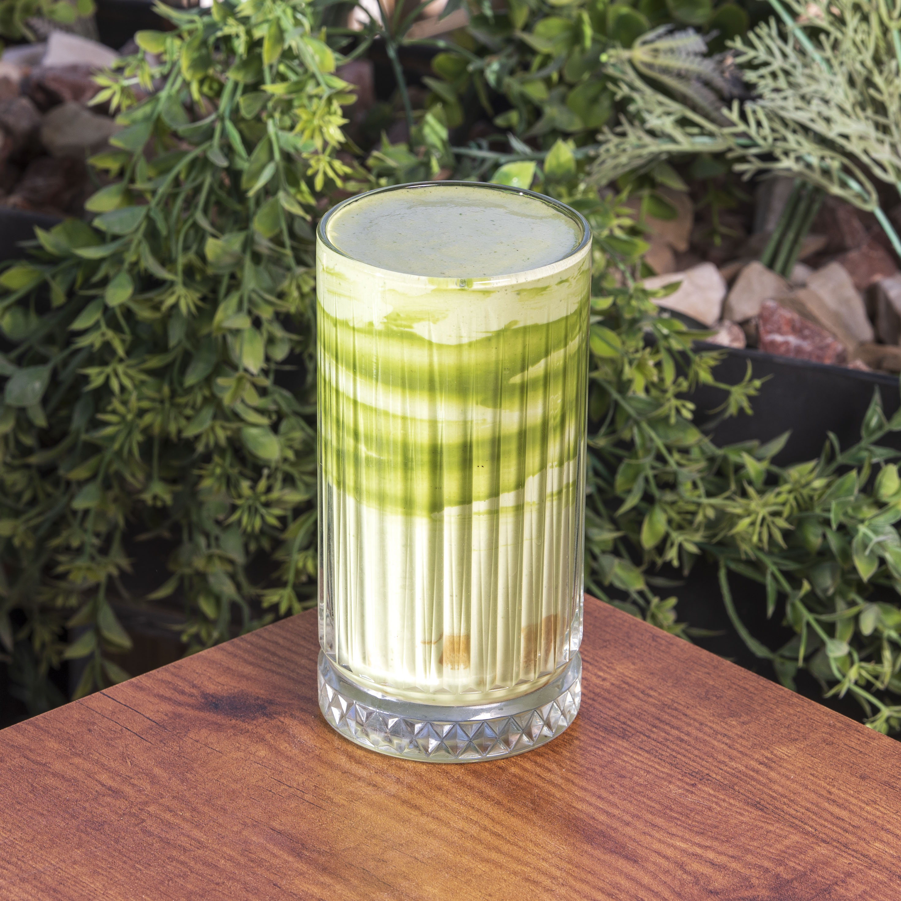 بيستاشيو  لوتس